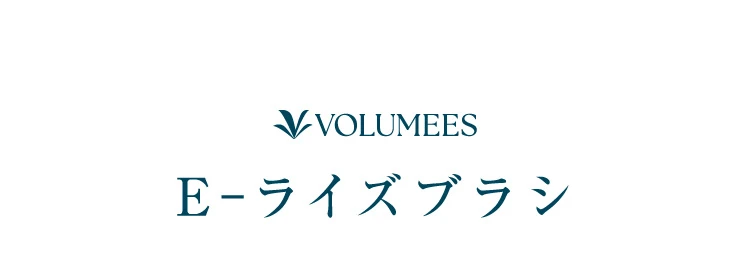 E-ライズブラシ