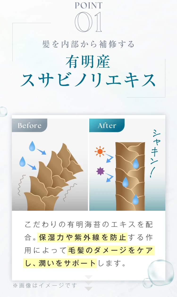 POINT01. 髪を内部から補修する有明産スサビノリエキス配合