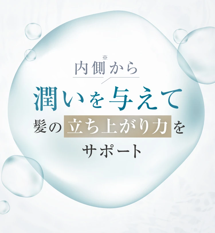 内側から潤いを与えて髪の立ち上がり力をサポート