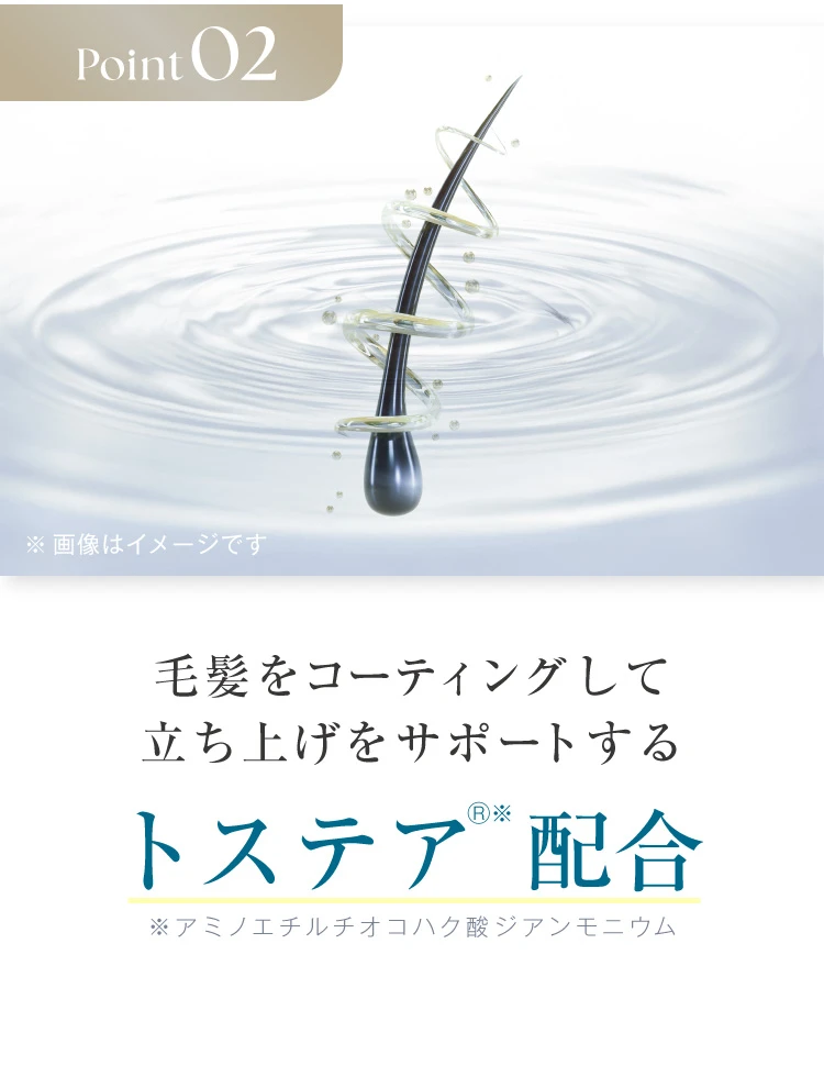 POINT02. 毛髪をコーティングして立ち上げをサポートするトステア配合